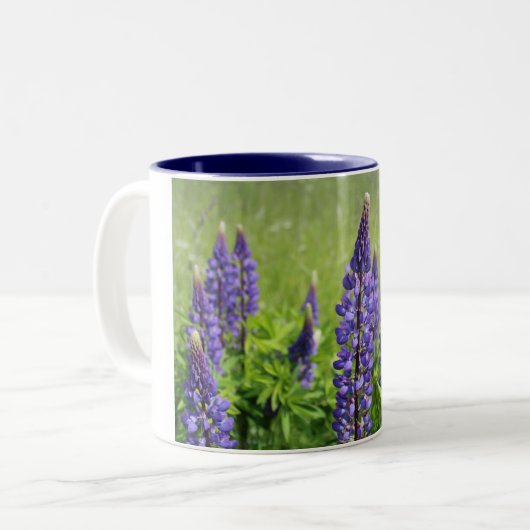 Lupinblüte Zweifarbige Tasse (Vorderseite Links)