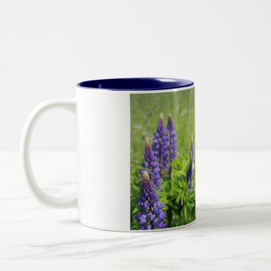 Lupinblüte Zweifarbige Tasse (Links)