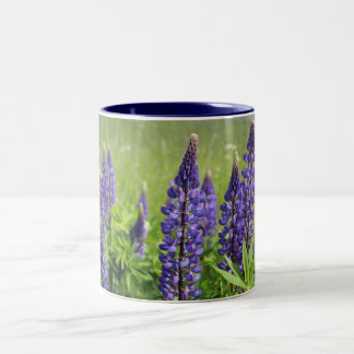 Lupinblüte Zweifarbige Tasse
