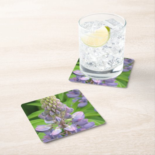 lupine-3 rechteckiger pappuntersetzer (Vor Ort)