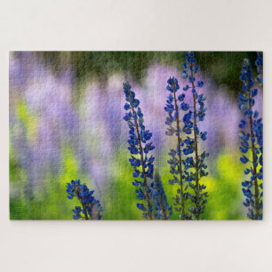 Lupine aus dem Pazifischen Nordwesten Puzzle