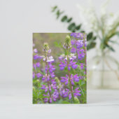 Lupine-Blume-Postkarte Postkarte (Stehend Vorderseite)