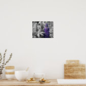 Lupine Blume Trio - Teilfarbigkeit Poster (Küche)