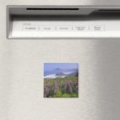 Lupine-Blume und raue Küste entlang Magnet (In Situ (Geschirrspüler))