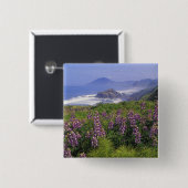 Lupine-Blume und zerklüftete Küste entlang Button (Vorne & Hinten)