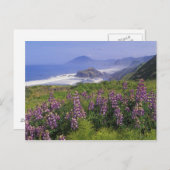 Lupine-Blume und zerklüftete Küste entlang Postkarte (Vorne/Hinten)