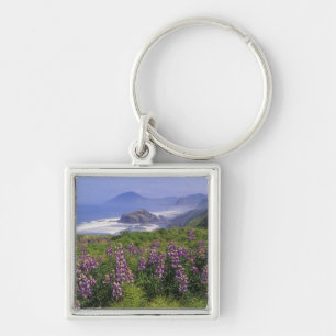 Lupine-Blume und zerklüftete Küste entlang Schlüsselanhänger