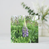 Lupine Card Karte (Stehend Vorderseite)