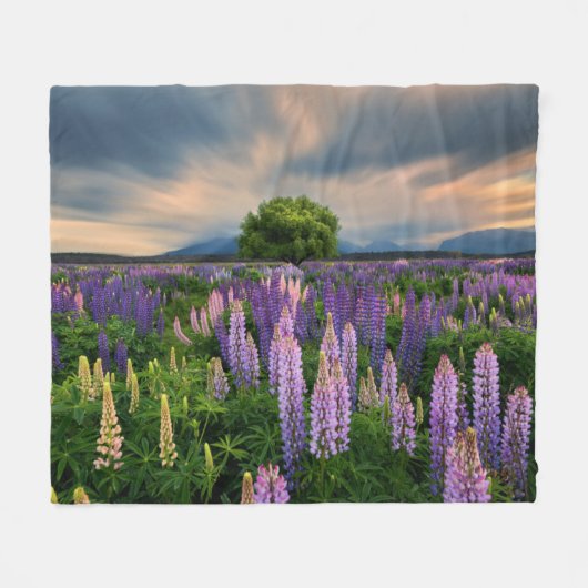Lupine-Feld in Neuseeland Fleecedecke (Vorderseite (Horizontal))