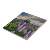 Lupine-Feld in Neuseeland Fliese (Seite)