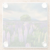 Lupine-Feld in Neuseeland Glasuntersetzer (Rückseite)