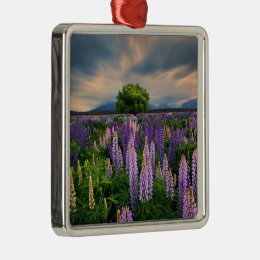 Lupine-Feld in Neuseeland Ornament Aus Metall (Rechts)