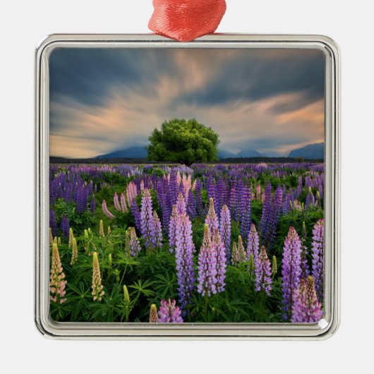 Lupine-Feld in Neuseeland Ornament Aus Metall (Vorne)