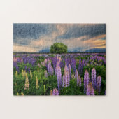 Lupine-Feld in Neuseeland Puzzle (Horizontal)