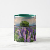 Lupine-Feld in Neuseeland Tasse (Zentrum)