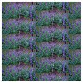 Lupine Fields Stoff (Muster)