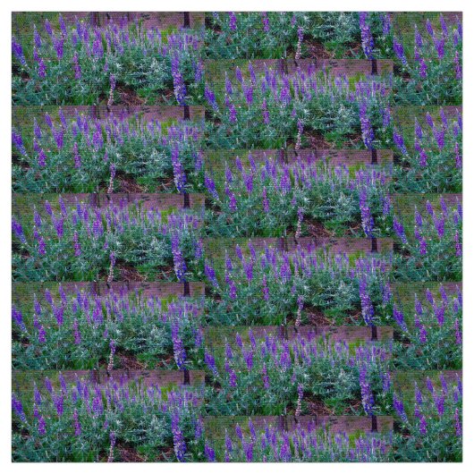Lupine Fields Stoff (Muster)