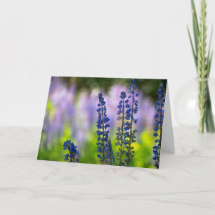 Lupine Frohes Chanukka Karte