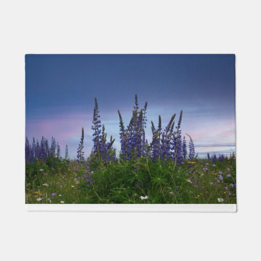 Lupine Fußmatte (Vorderseite)