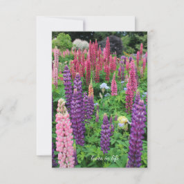 Lupine Garden Mitteilungskarte