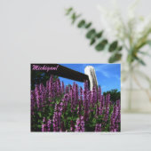 Lupine Garden Postkarte (Stehend Vorderseite)