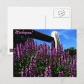 Lupine Garden Postkarte (Vorne/Hinten)