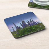 Lupine Getränkeuntersetzer (Linke Seite)