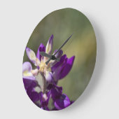 Lupine Große Wanduhr (Winkel)