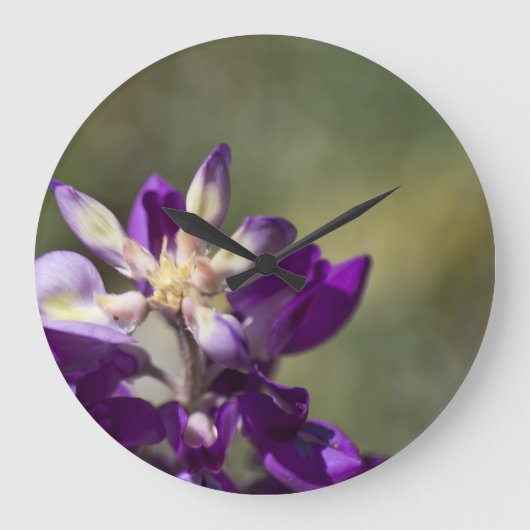 Lupine Große Wanduhr (Vorderseite)