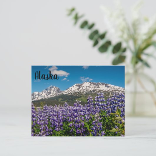 Lupine in Bloom Alaskan Postcard Postkarte (Stehend Vorderseite)