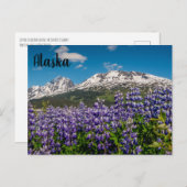 Lupine in Bloom Alaskan Postcard Postkarte (Vorne/Hinten)