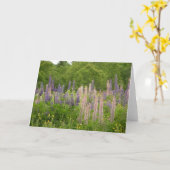 Lupine Karte (Gelbe Blume)