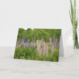 Lupine Karte