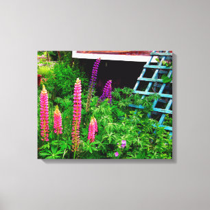Lupine Leinwanddruck