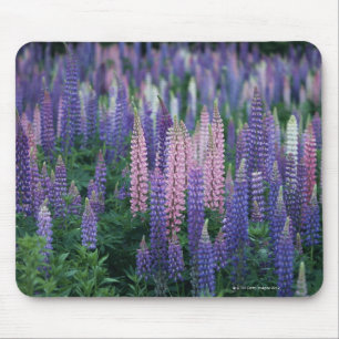 Lupine Mousepad