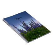 Lupine Notizblock (Rechte Seite)