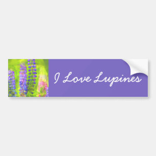 Lupine Painting - Original Blume Kunst Autoaufkleber