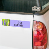 Lupine Painting - Originelle Blume Kunst Autoaufkleber (Auf Lkw)