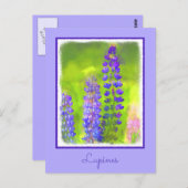 Lupine Painting - Originelle Blume Kunst Postkarte (Vorne/Hinten)