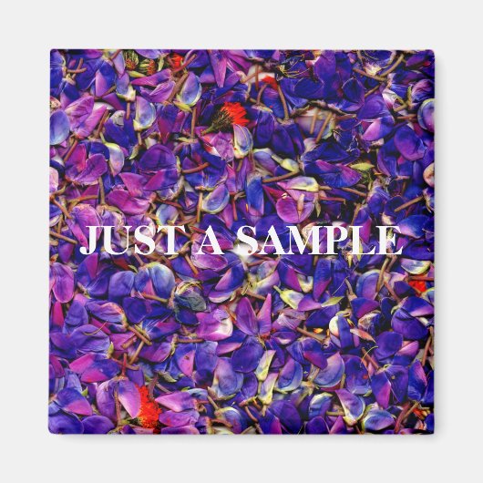 Lupine Petals Magnet (Vorne)