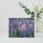 Lupine Postkarte (Stehend Vorderseite)