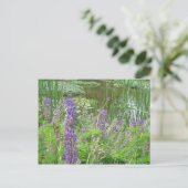 Lupine Postkarte (Stehend Vorderseite)