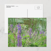 Lupine Postkarte (Vorne/Hinten)