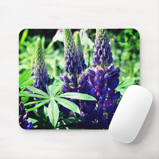 Lupine Trio Blume Mousepad (Mit Mouse)