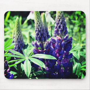 Lupine Trio Blume Mousepad