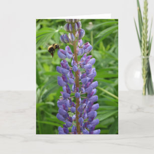 Lupine und Biene notecard Karte