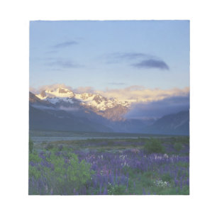 Lupine und der Hauptteil, Arthur-Pass, Süden Notizblock