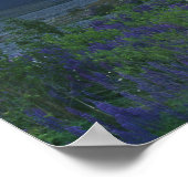 Lupine und der Hauptteil, Arthur-Pass, Süden Poster (Ecke)