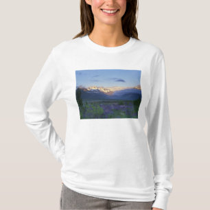 Lupine und die Hauptabteilung, Arthur's Pass, Süd T-Shirt