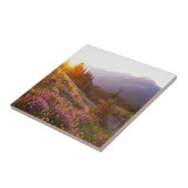 Lupine- und Olympiaregion Fliese (Seite)